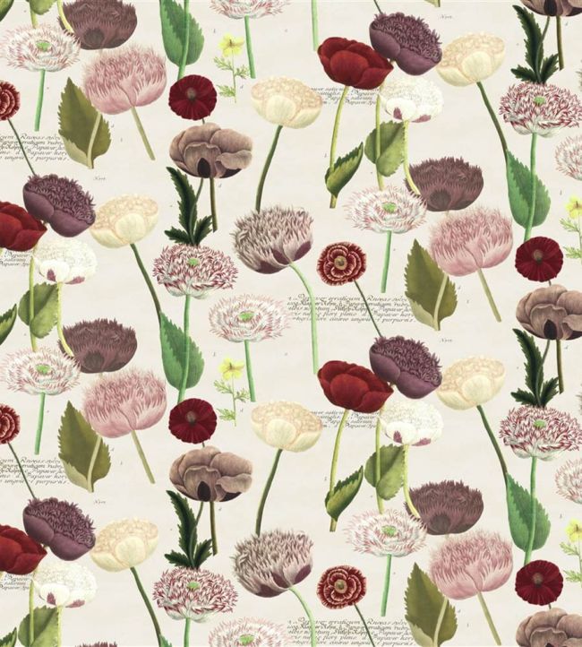 Poppy Study Fabric by Designers Guild Violet
