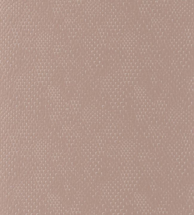Port Jackson Fabric by Camengo Nude