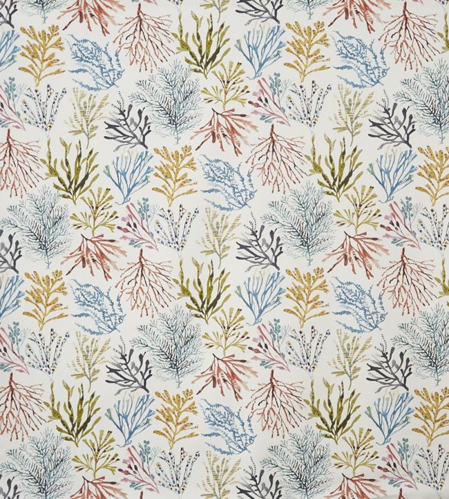 Coral Fabric by Prestigious Textiles Tropical