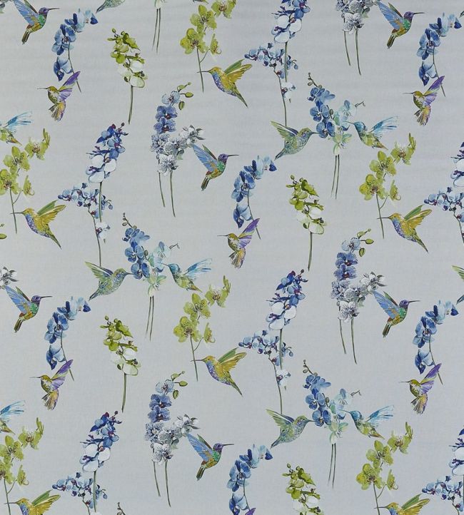 Humming Bird Fabric by Prestigious Textiles in Waterfall
