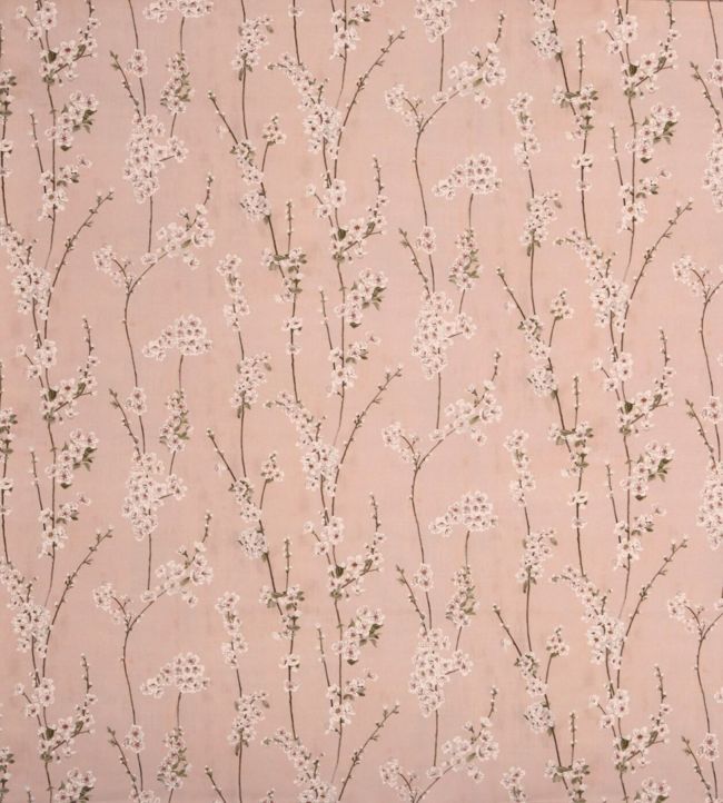 Almond Blossom Fabric by Prestigious Textiles Posey