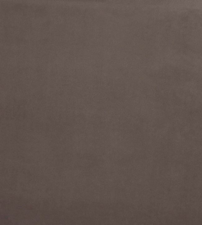 Belgravia Fabric by Prestigious Textiles Mole