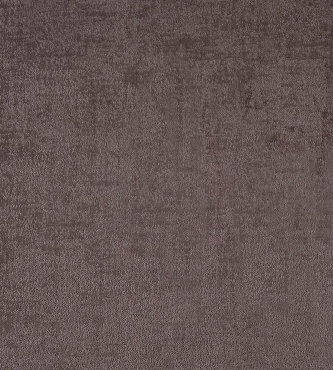 Soho Fabric by Prestigious Textiles Mole