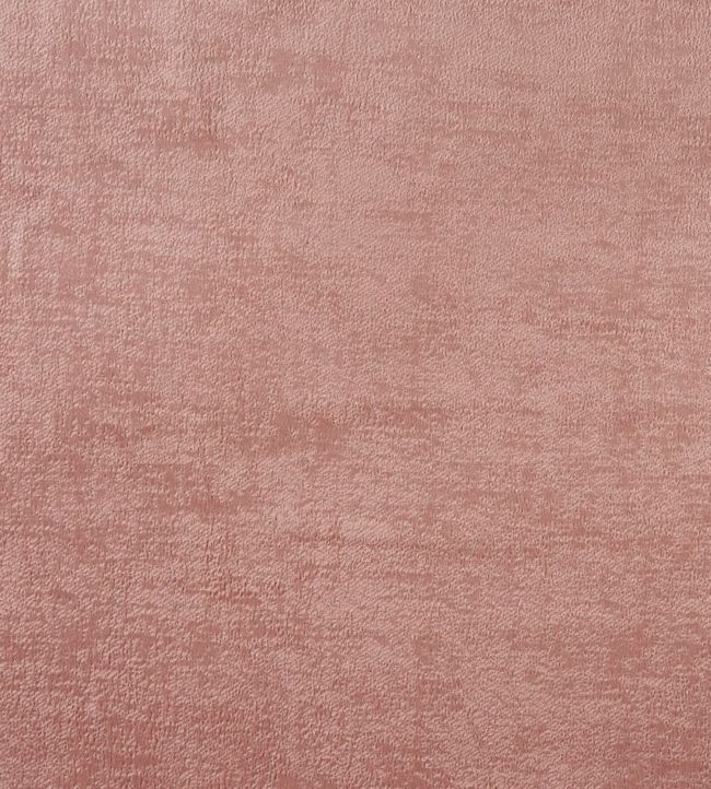Soho Fabric by Prestigious Textiles Petal