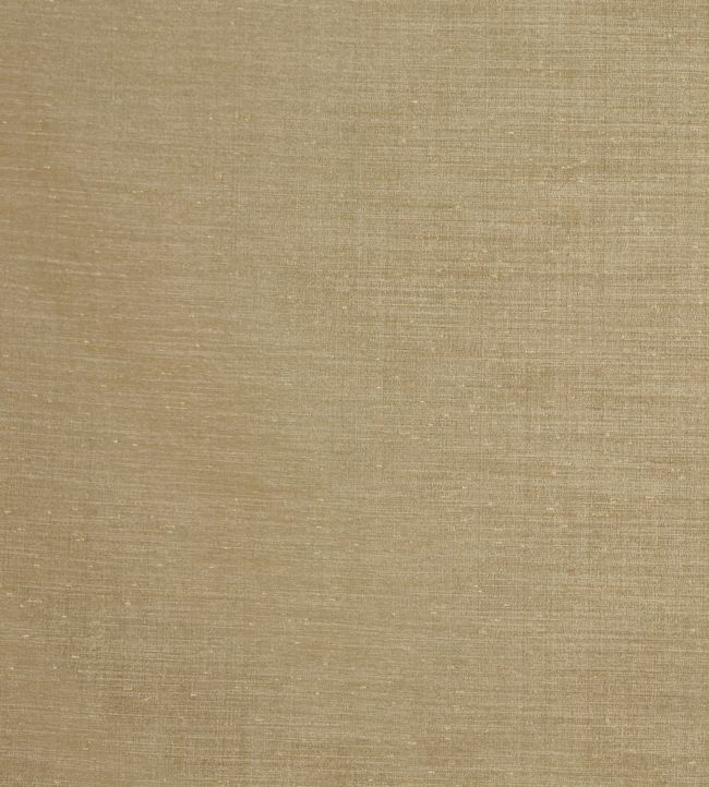 Tussah Fabric by Prestigious Textiles in Bronze Jane Clayton