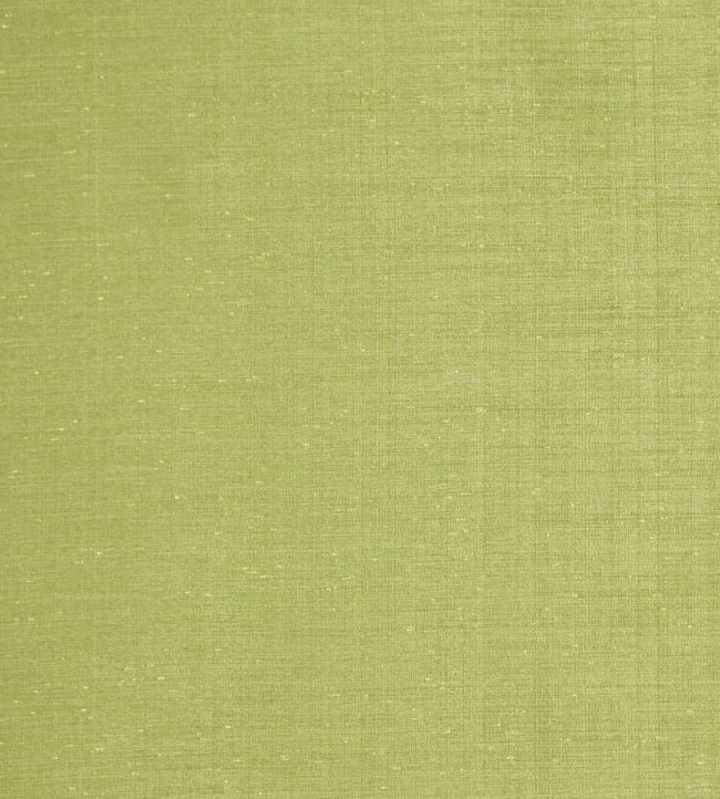 Tussah Fabric by Prestigious Textiles in Viridian Jane Clayton