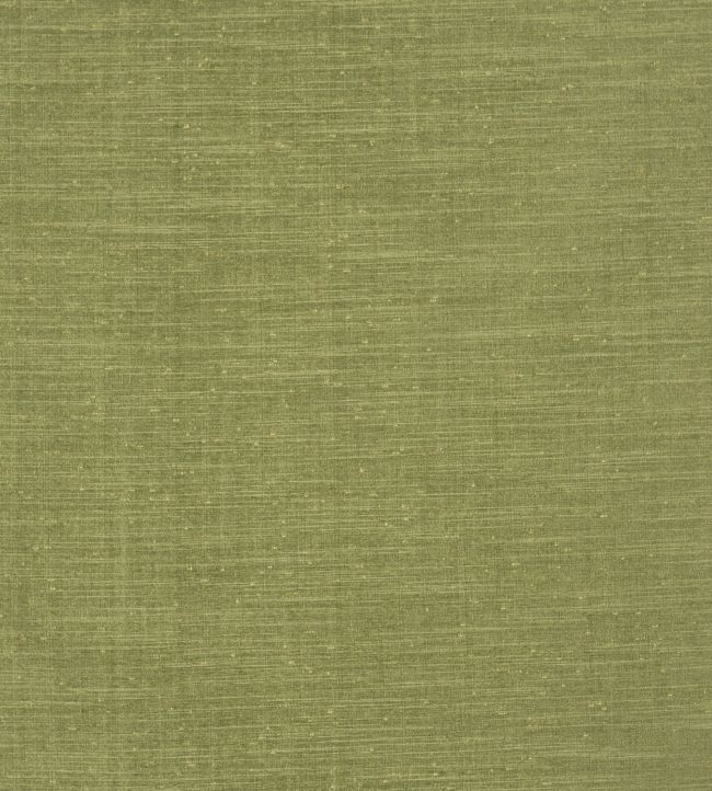 Tussah Fabric by Prestigious Textiles Forest