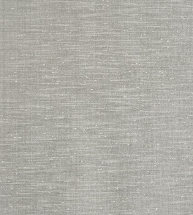 Tussah Fabric by Prestigious Textiles Carbon
