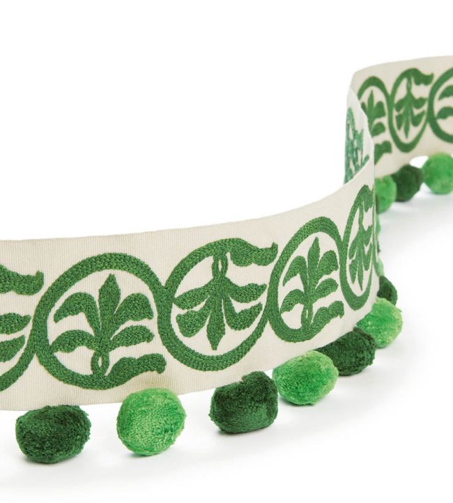 Pushkar Braid Trimming by Osborne & Little Emerald