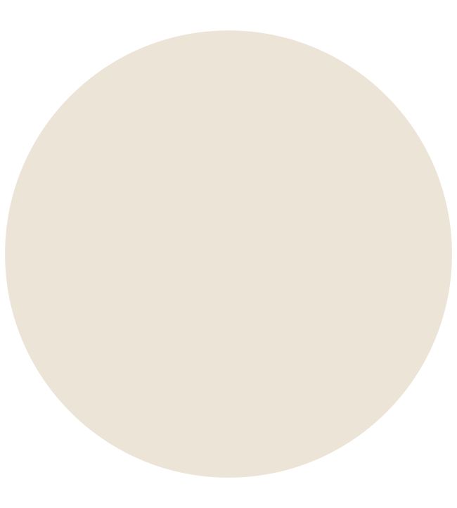 Zoffany Quarter Harbour Grey Elite Emulsion Paint Jane Clayton