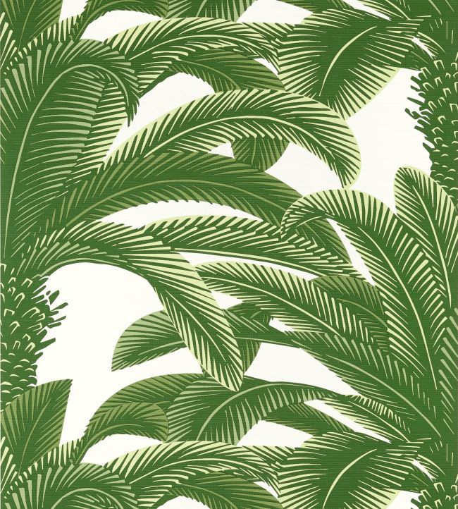 Queen Palm Wallpaper by Thibaut Green
