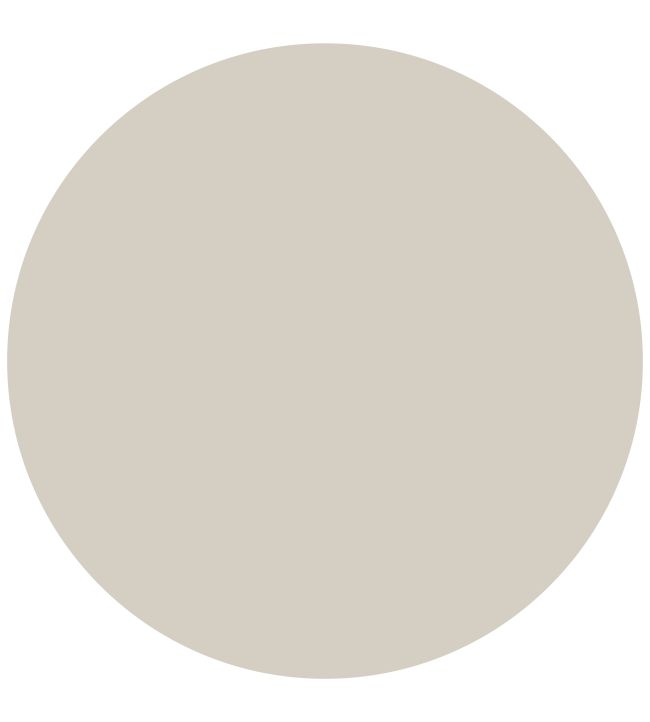 Sanderson Quill Grey Active Emulsion Paint Jane Clayton