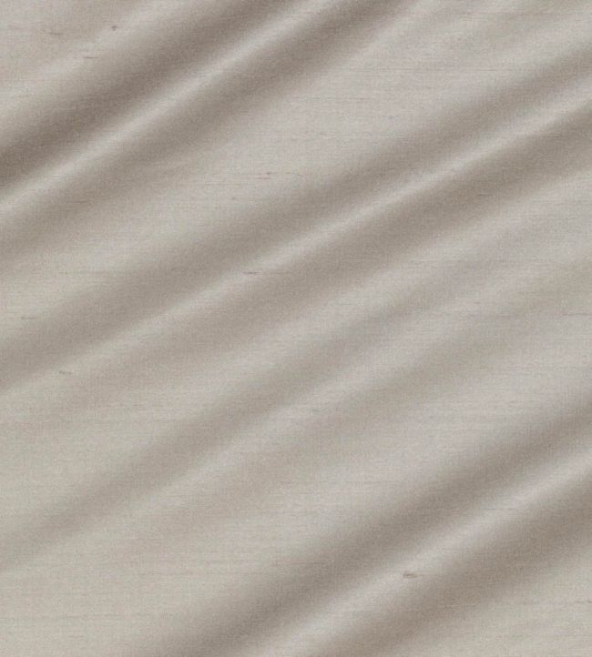 Regal Silk Fabric in Plover by James Hare | Jane Clayton