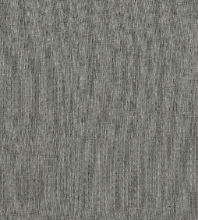 Remo Fabric by Clarke & Clarke Charcoal