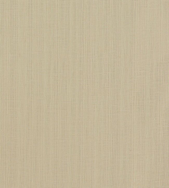 Remo Fabric by Clarke & Clarke Linen