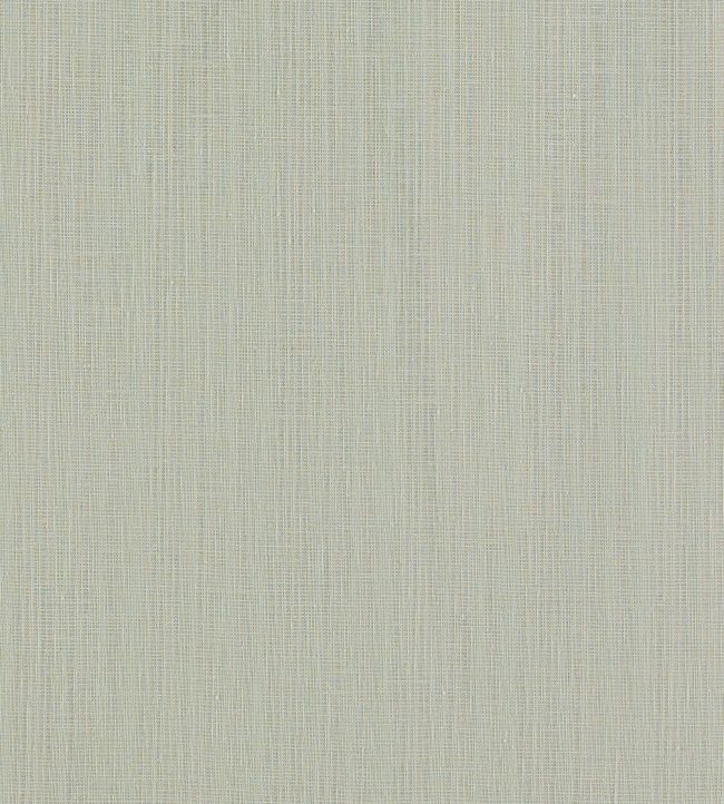 Remo Fabric by Clarke & Clarke Smoke