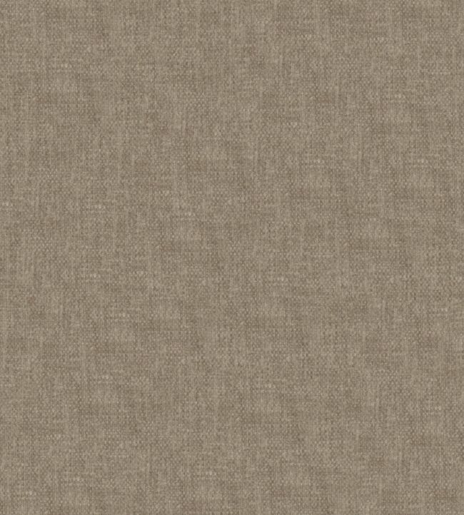 Renovare Fabric by Wemyss Earth