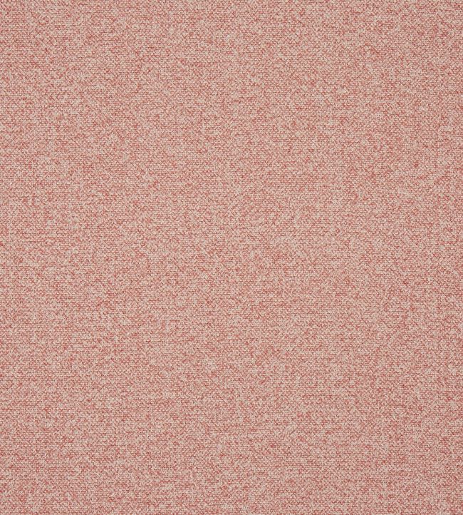 Robertson Fabric in Petal by Prestigious Textiles Jane Clayton