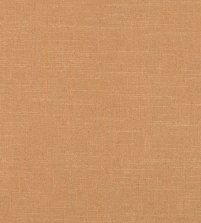 Asuri Fabric by Romo Clementine