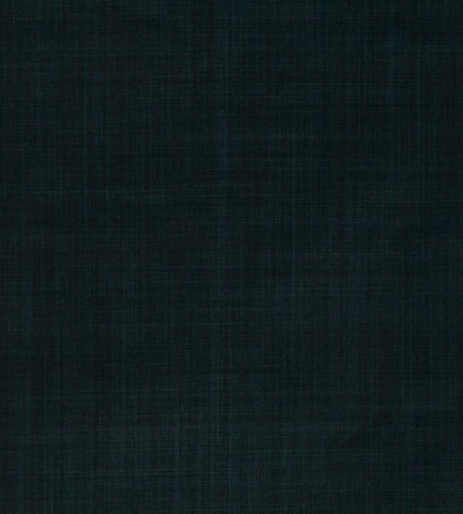Dune Fabric by Romo Ebony