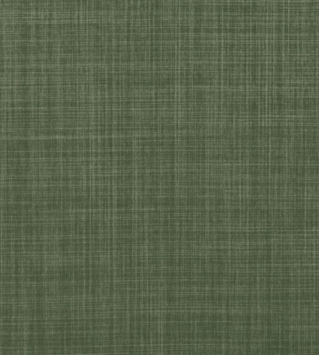 Dune Fabric by Romo Fern