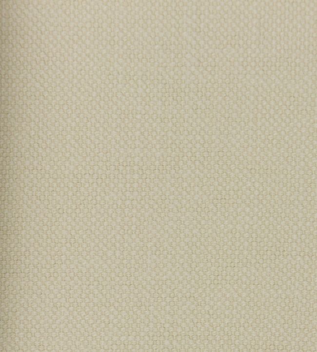 Linara Fabric by Romo Parsnip