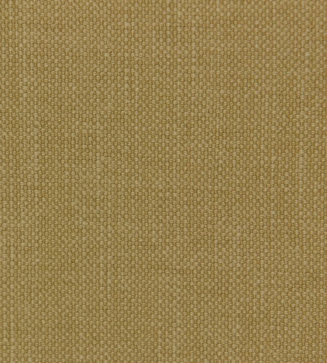 Linara Fabric by Romo Fudge