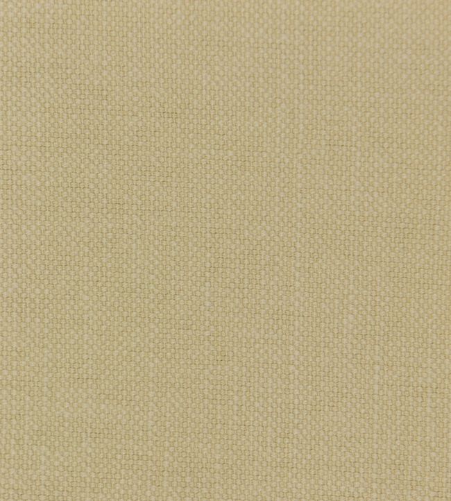 Linara Fabric by Romo Butterbean
