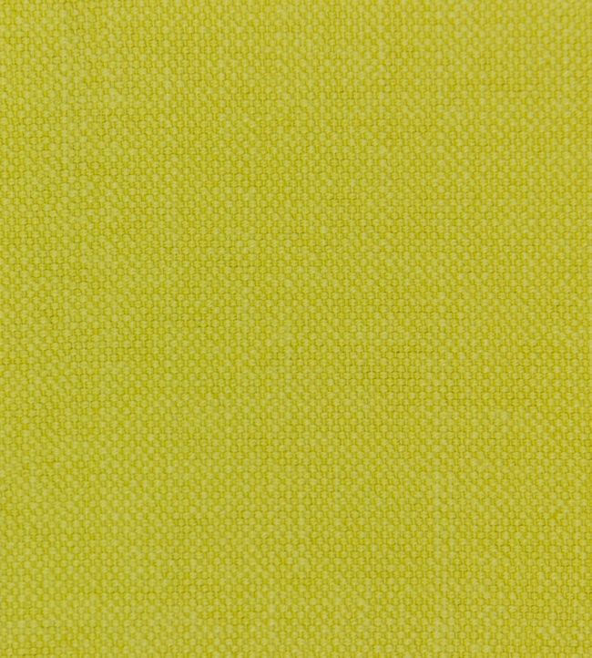 Linara Fabric by Romo Zest