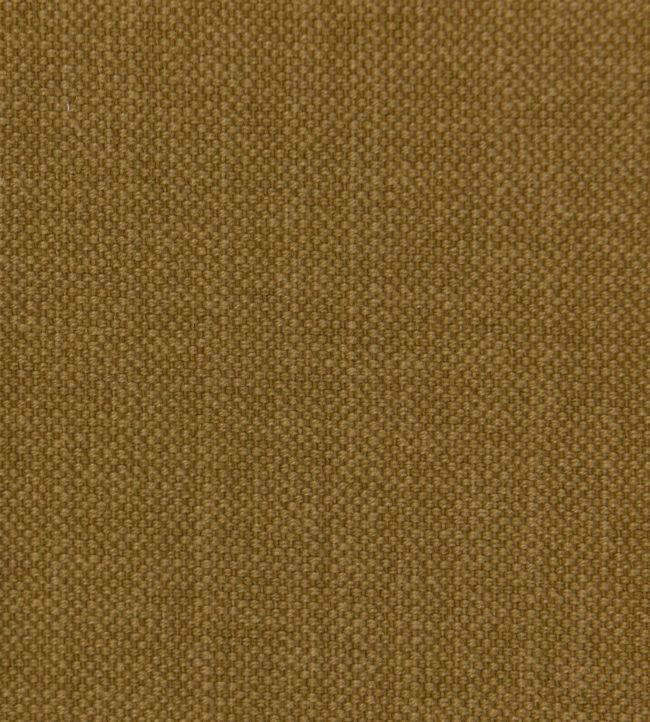 Linara Fabric by Romo Spice