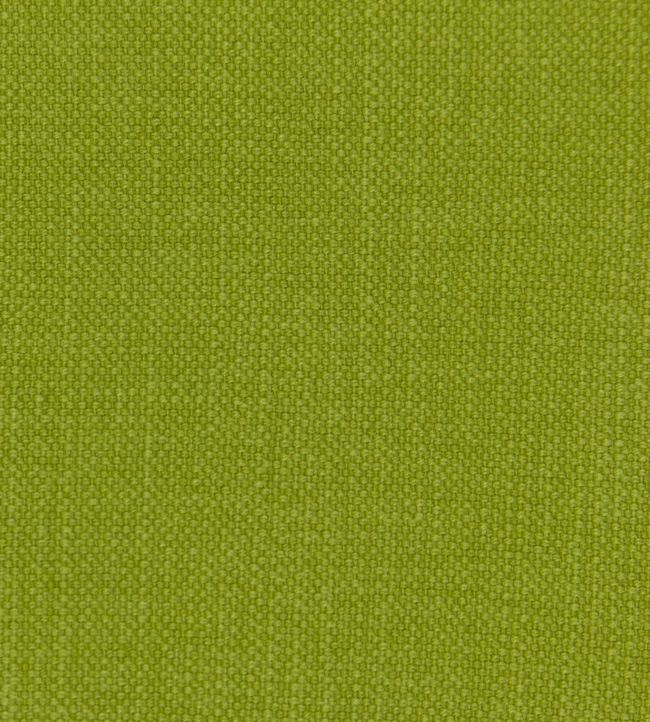 Linara Fabric by Romo Basil