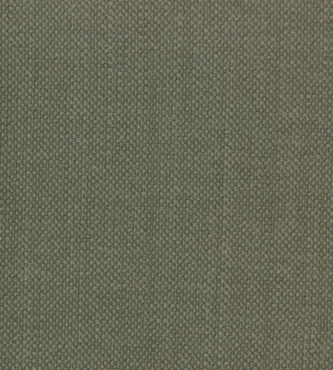 Linara Fabric by Romo Khaki