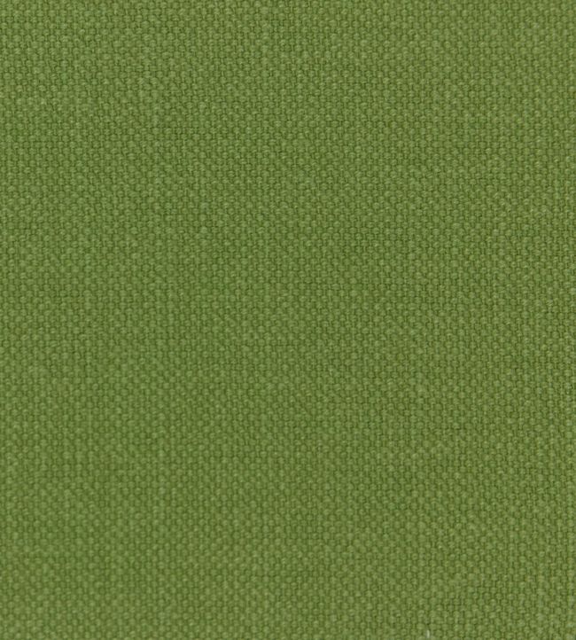 Linara Fabric by Romo Kiwi