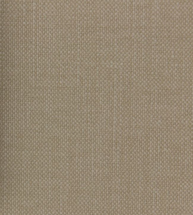 Linara FR Fabric by Romo Buff