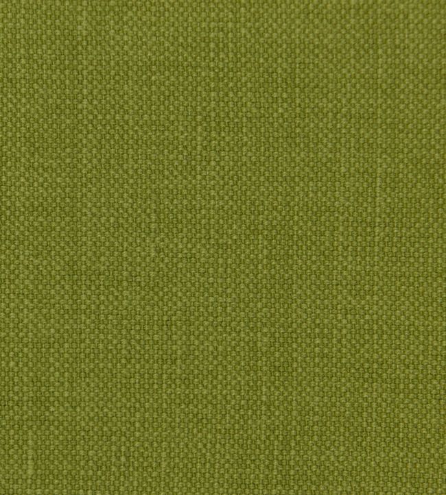 Linara Fabric by Romo Elm
