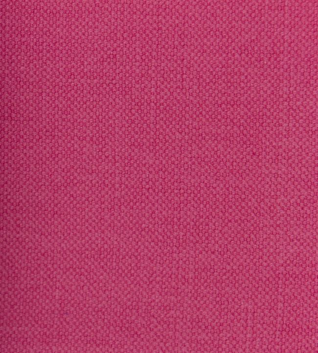 Linara FR Fabric by Romo Camellia