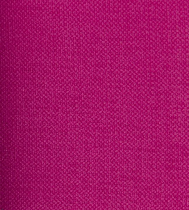 Linara Fabric by Romo Begonia