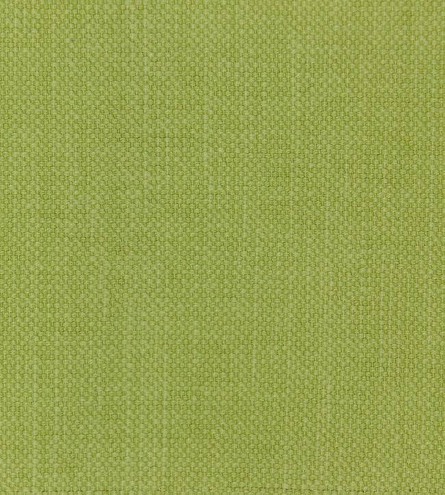 Linara FR Fabric by Romo Gooseberry