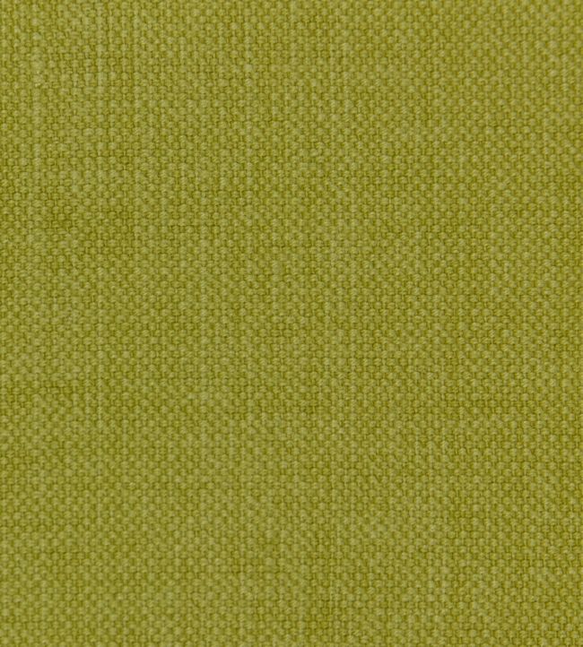 Linara Fabric by Romo Pesto