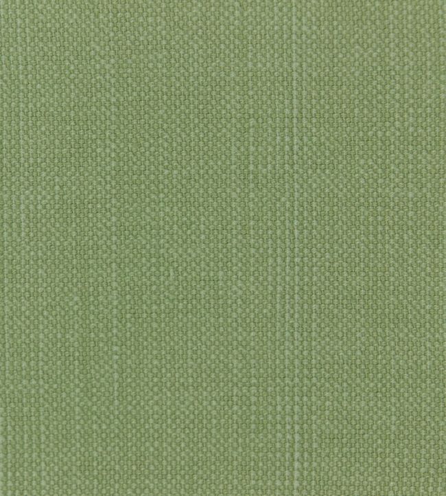Linara FR Fabric by Romo Aloe