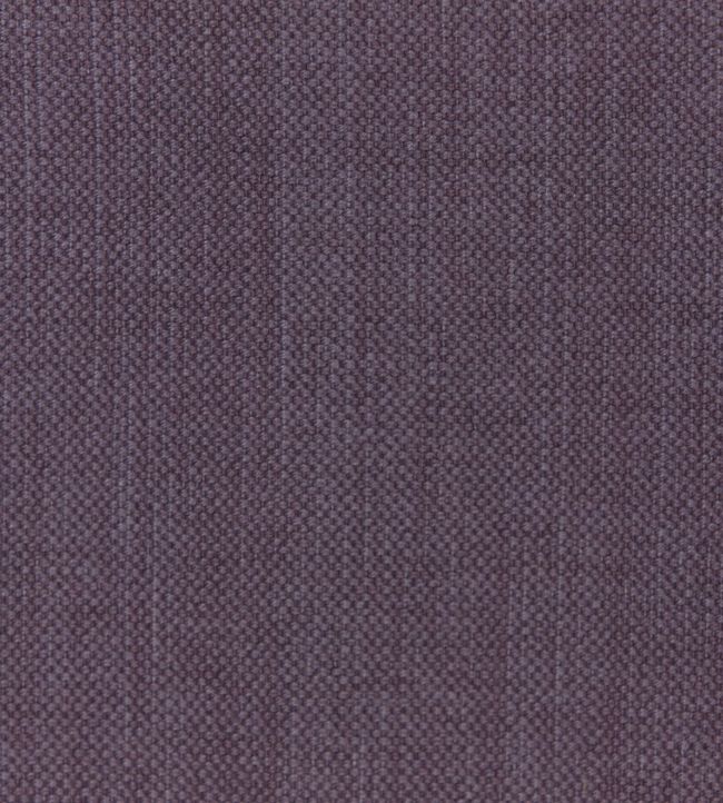 Linara Fabric by Romo Allium