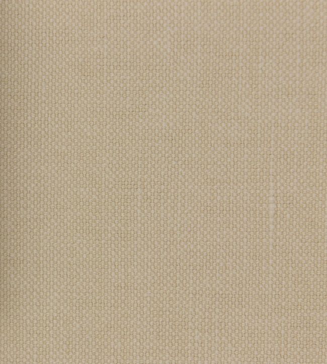 Linara Fabric by Romo Latte
