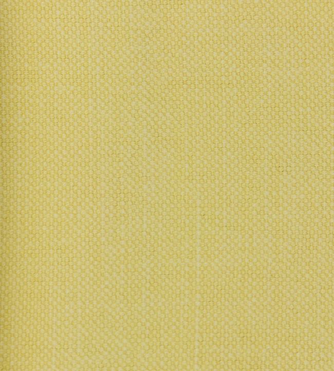 Linara FR Fabric by Romo Butternut