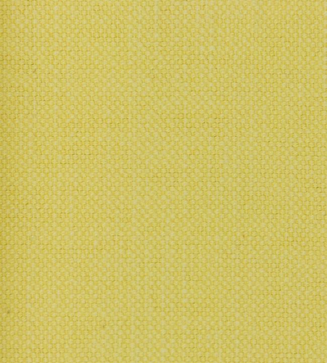 Linara Fabric by Romo Jonquil