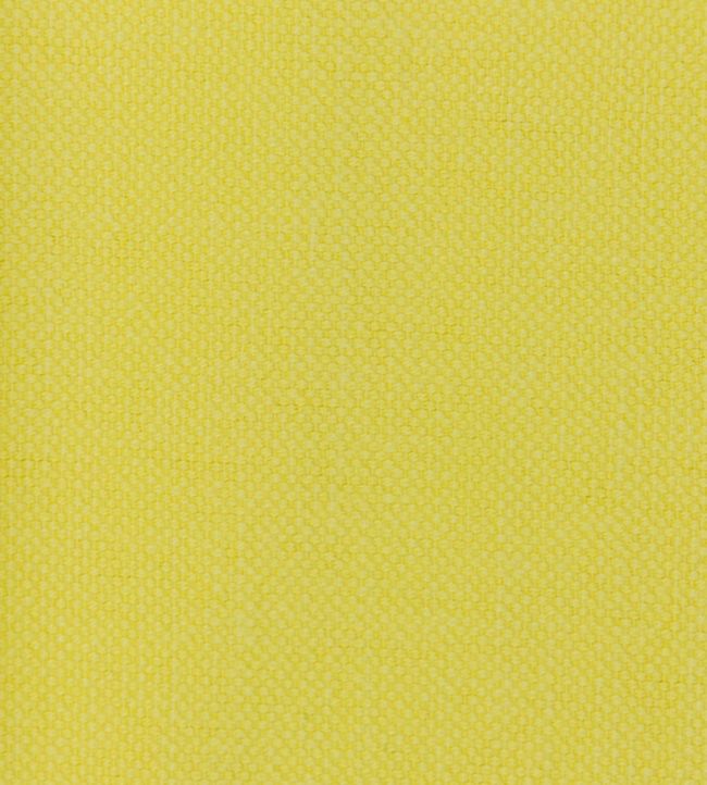 Linara FR Fabric by Romo Daffodil