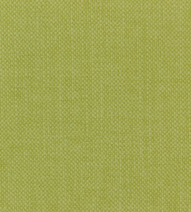 Linara FR Fabric by Romo Euphorbia