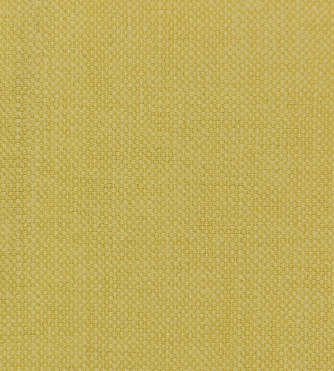 Linara Fabric by Romo Quince
