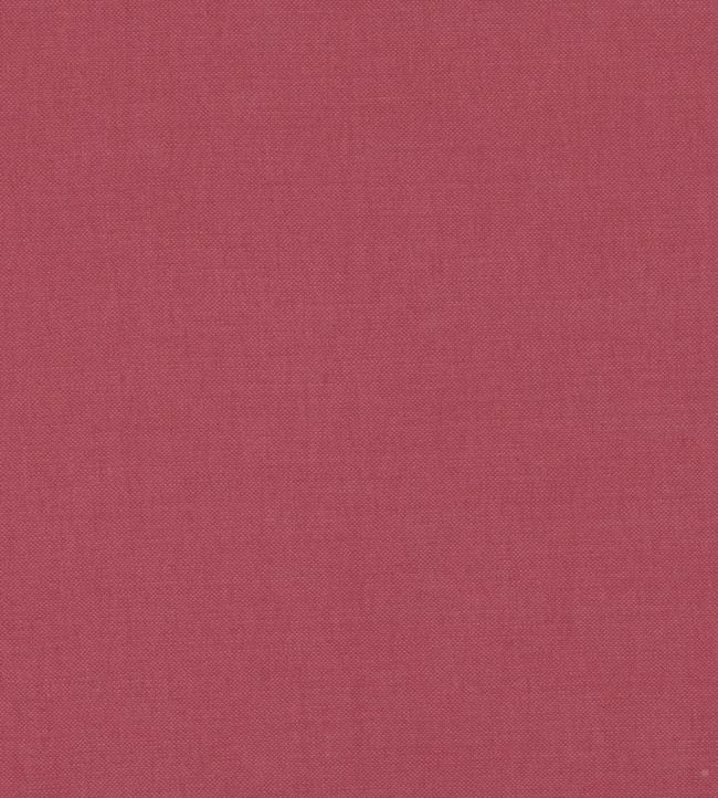 Linara FR Fabric by Romo Rubus