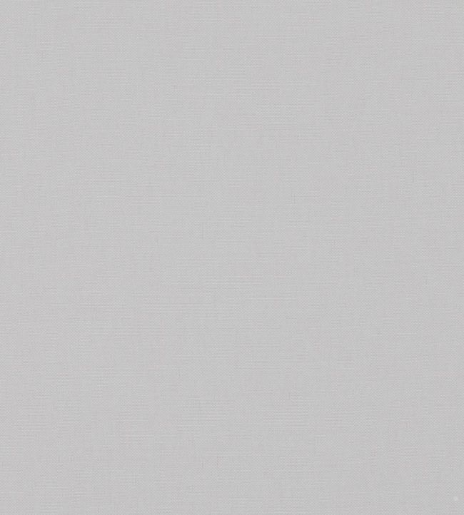 Linara Fabric by Romo Brume