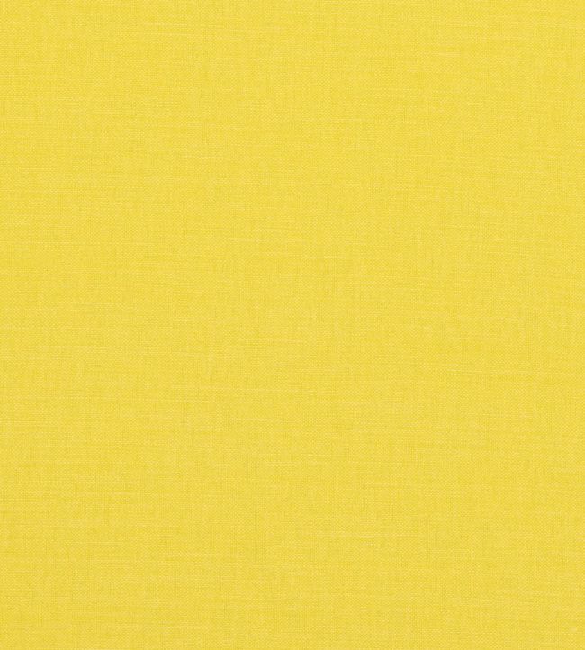 Linara FR Fabric by Romo Goldfinch